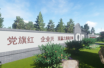村镇小广场 党建大阵地（四）