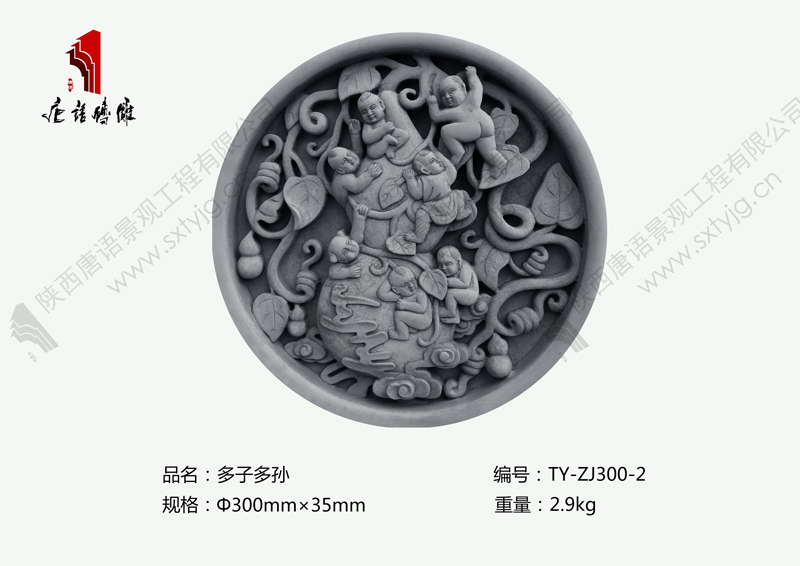 TY-ZJ300-2瑗垮畨.jpg